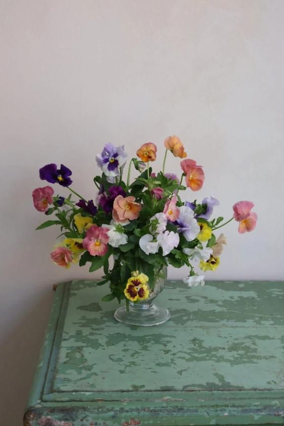 Thumbnail Image of Violas in La Soufflerie