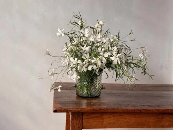 Fox Fodder Flowers image grid container slide 36