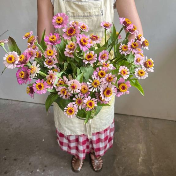 Thumbnail Image of Zinderella Lilac Zinnias