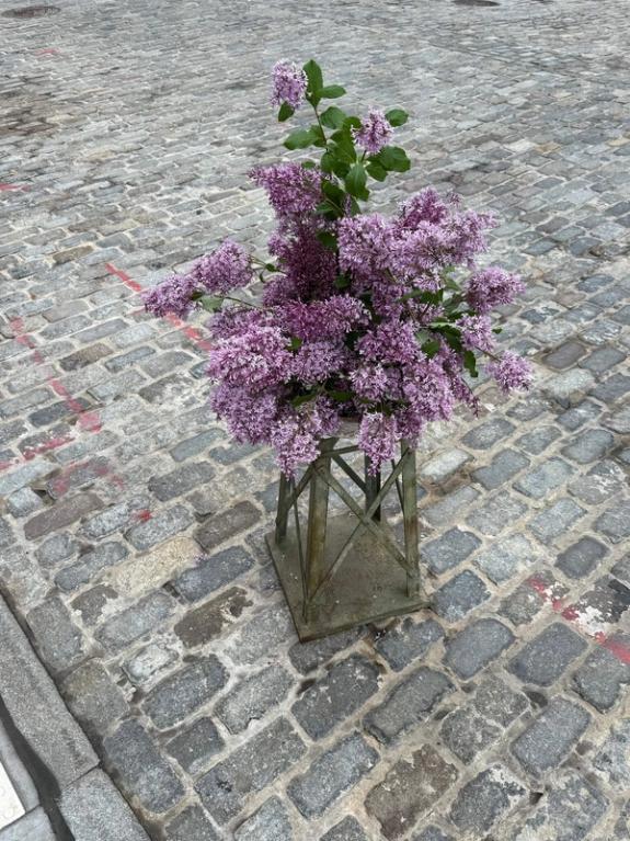 Fox Fodder Flowers image grid container slide 194