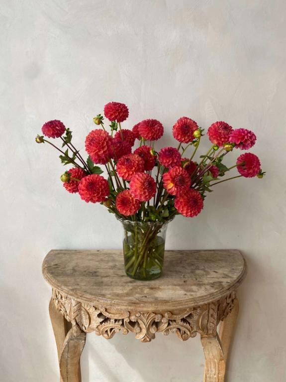 Thumbnail Image of Robin Hood Dahlias