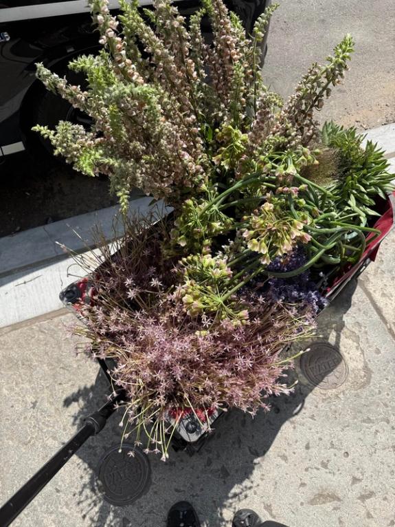 Fox Fodder Flowers image grid container slide 114