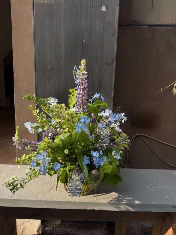 Fox Fodder Flowers image grid container slide 147