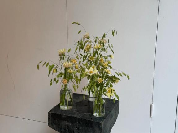 Hover Image of Bud Vase Trio