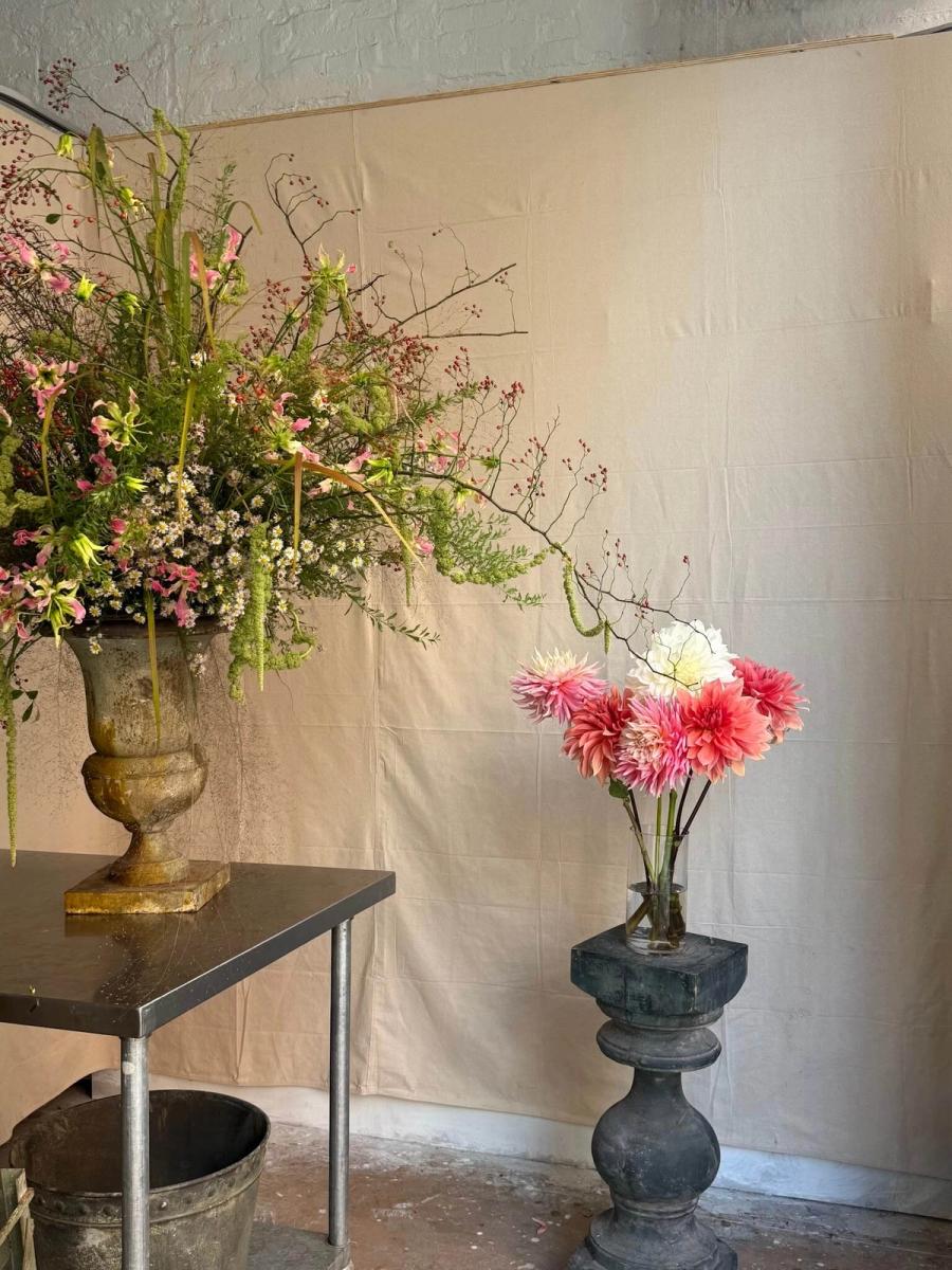 Product image in gallery for Growers Mixed Bear Creek Dahlias | Item 3
