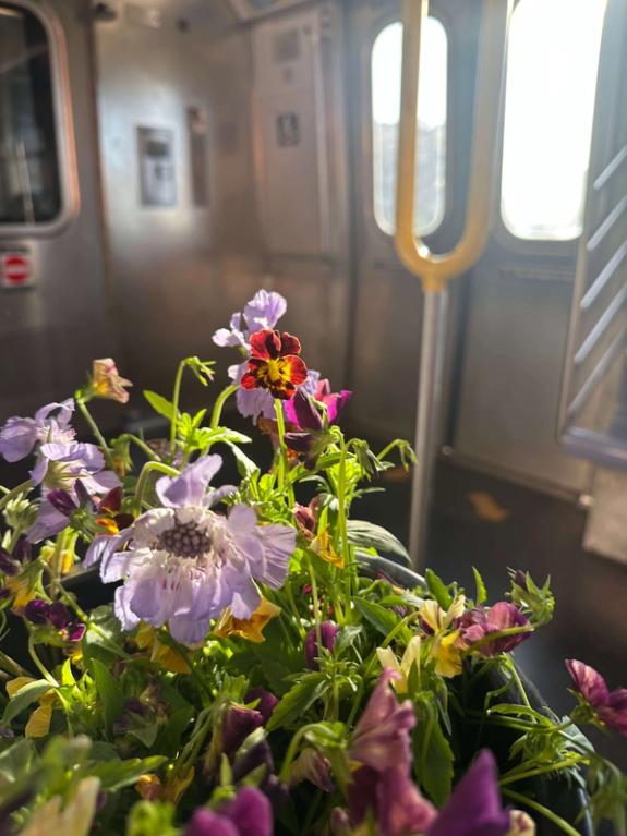 Fox Fodder Flowers image grid container slide 12