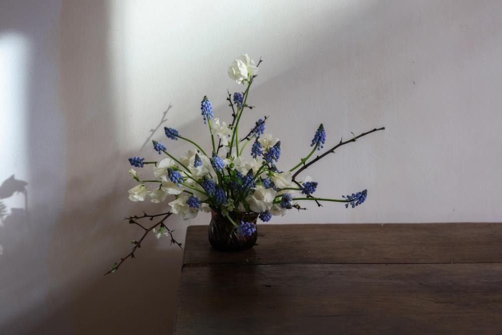 Fox Fodder Flowers Hero Slide 3 Image 1