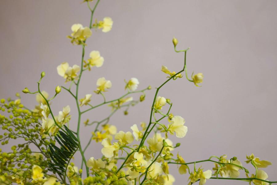 Product image in gallery for Subscription- La Grande Petite Flower | Item 2