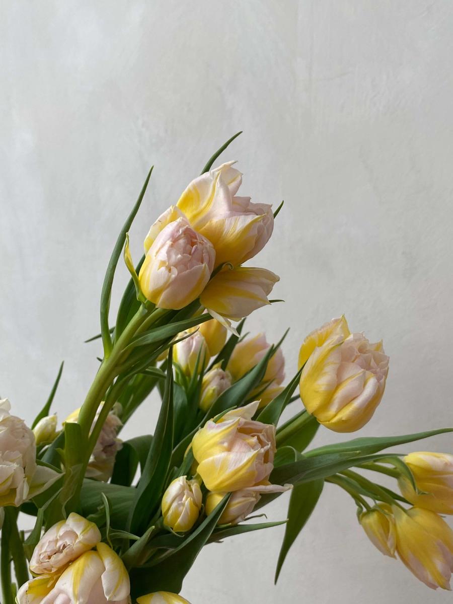 Product image in gallery for Password Tulips on the Bulb | Item 2