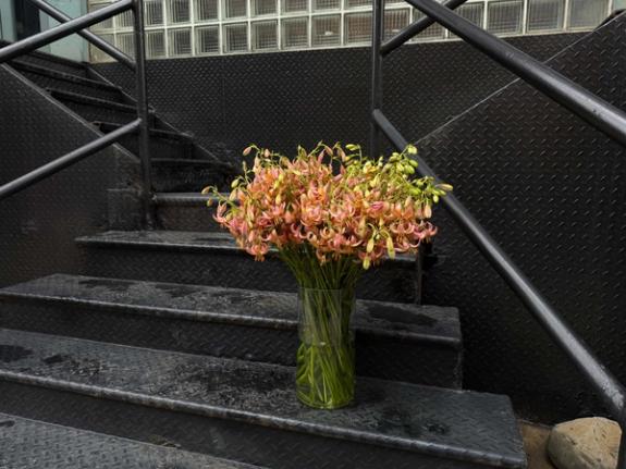 Fox Fodder Flowers image grid container slide 73