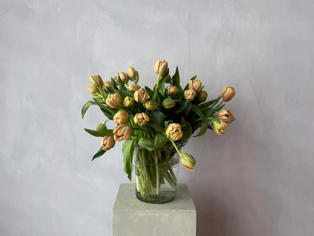 Fox Fodder Flowers Hero Slide 2 Image 1