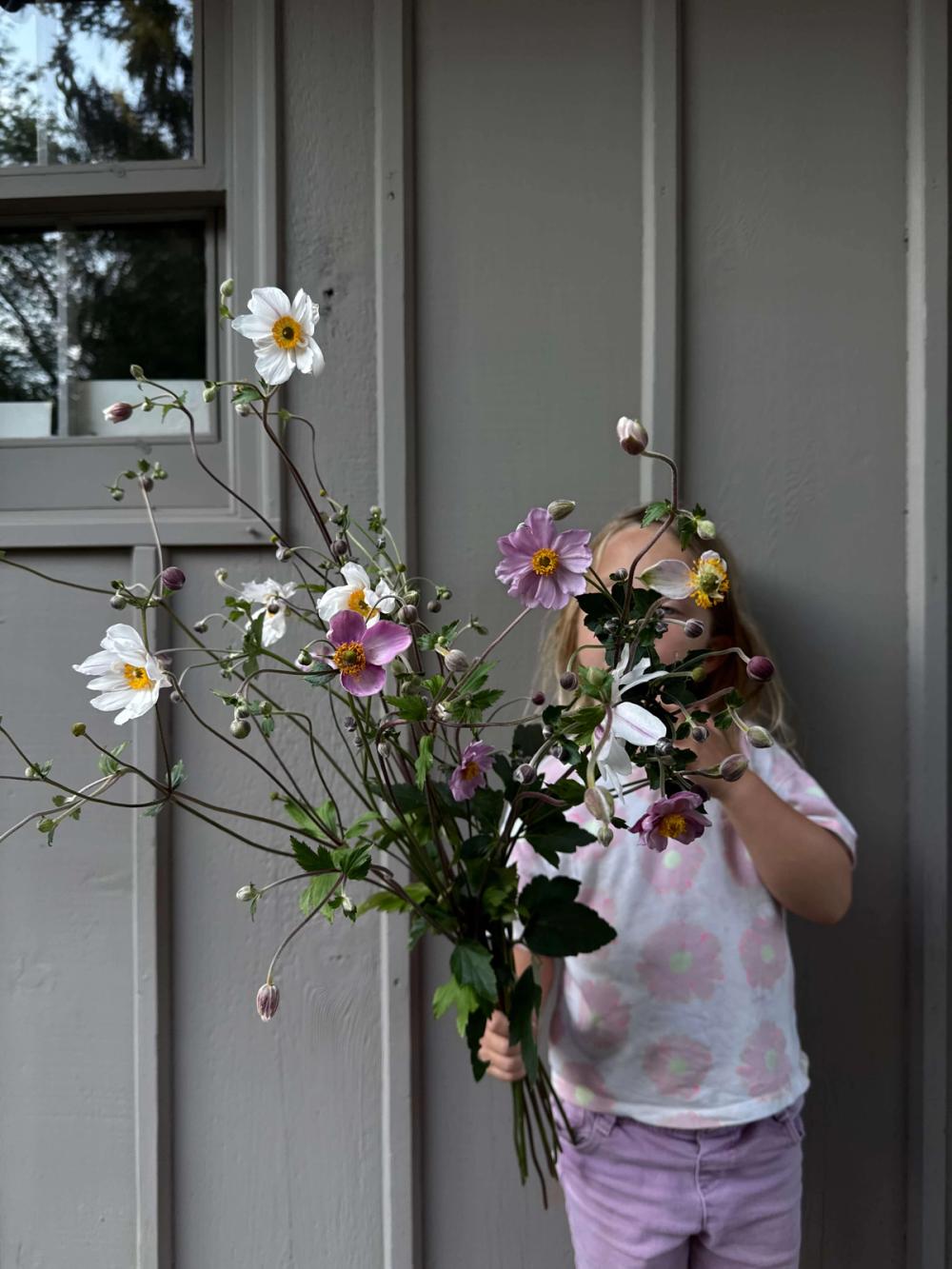 Fox Fodder Flowers Hero Slide 1 Image 1