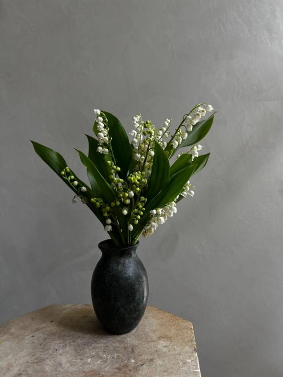 Thumbnail Image of Mother's Day - Lily of The Valley
