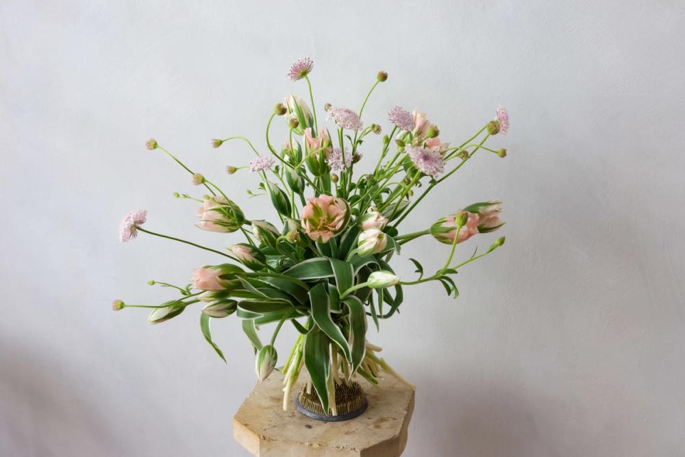 Fox Fodder Flowers Hero Slide 2 Image 1