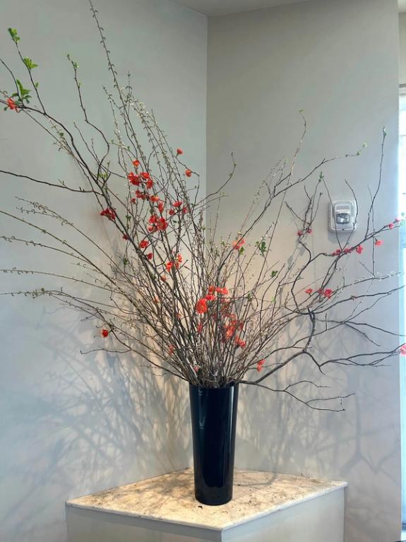 Fox Fodder Flowers image grid container slide 96