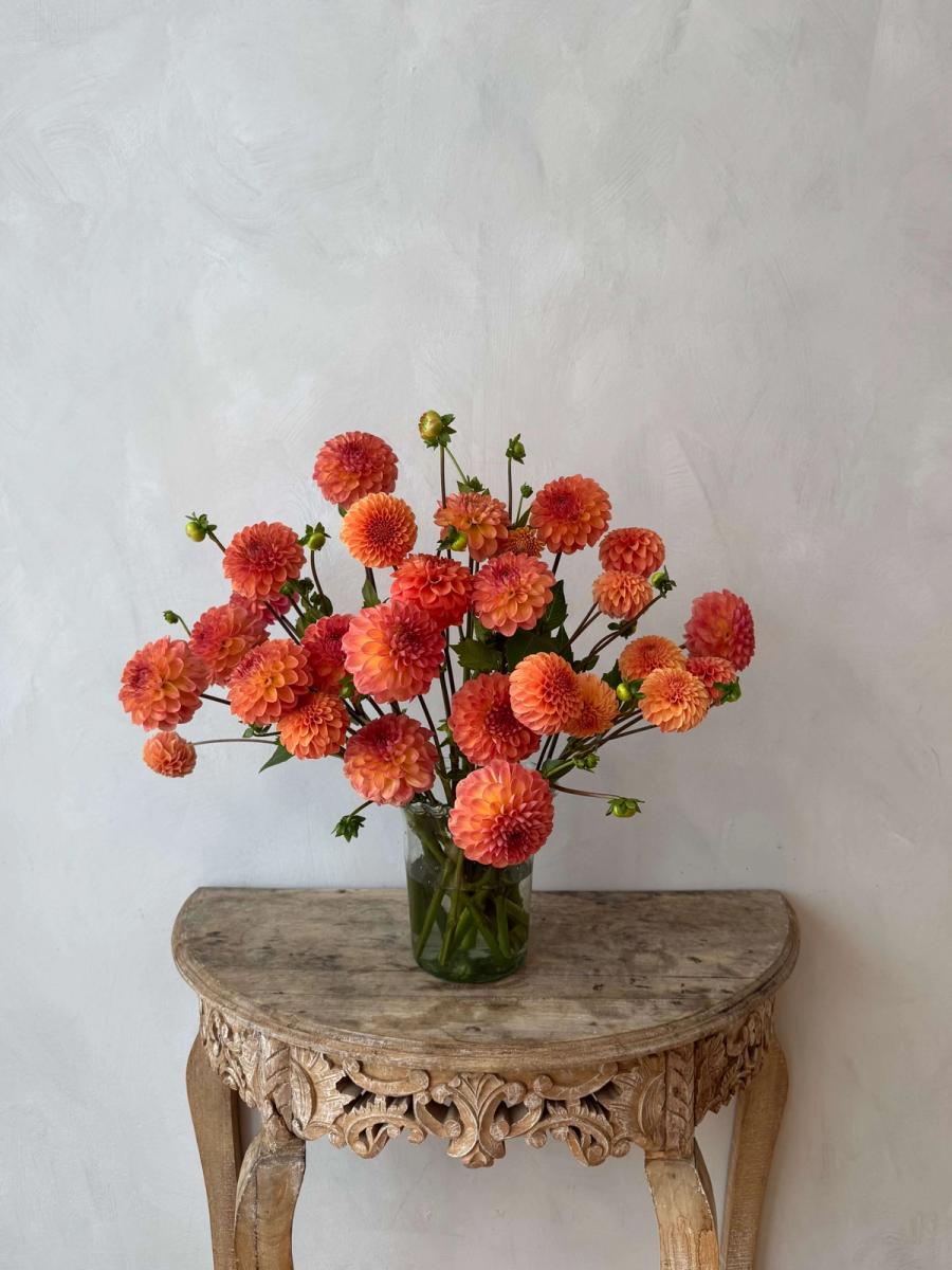 Product image in gallery for Robin Hood Dahlias | Item 1