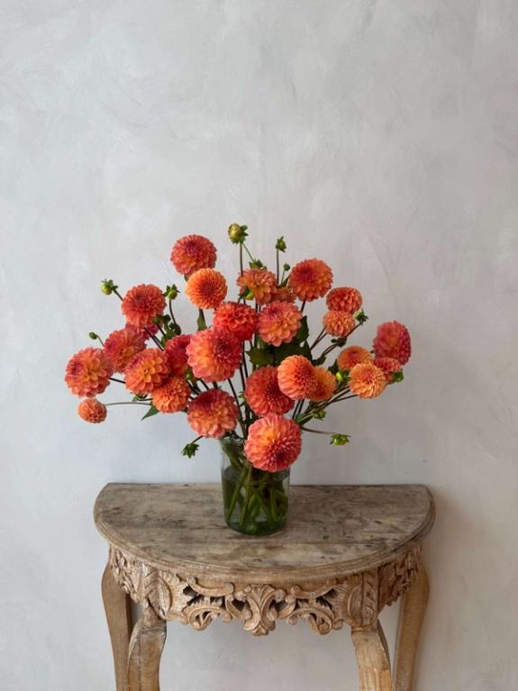 Thumbnail Image of Robin Hood Dahlias