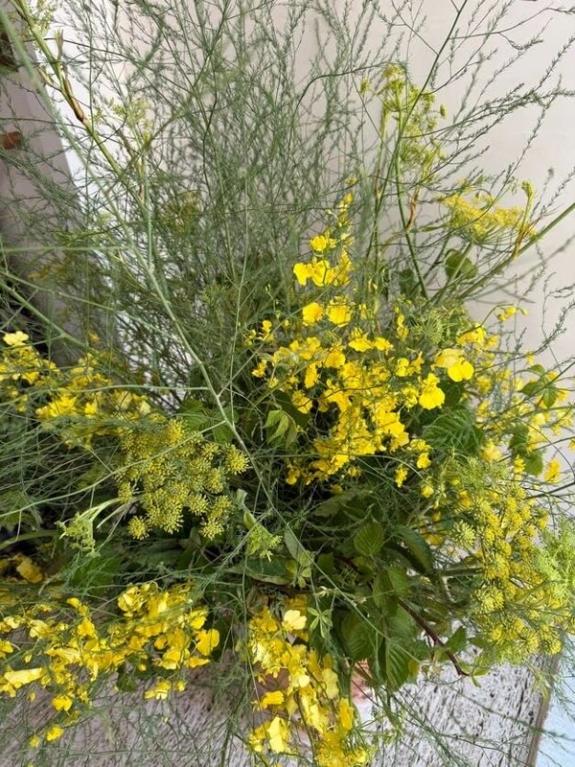 Fox Fodder Flowers image grid container slide 137