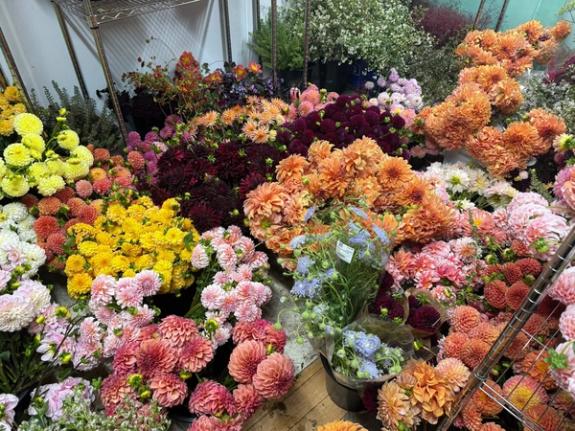 Fox Fodder Flowers image grid container slide 92