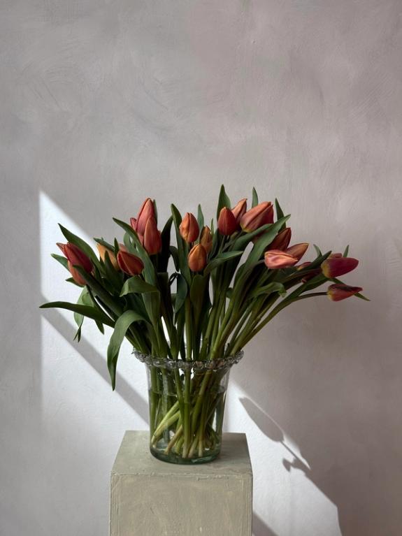 Thumbnail Image of Brown Sugar Tulips
