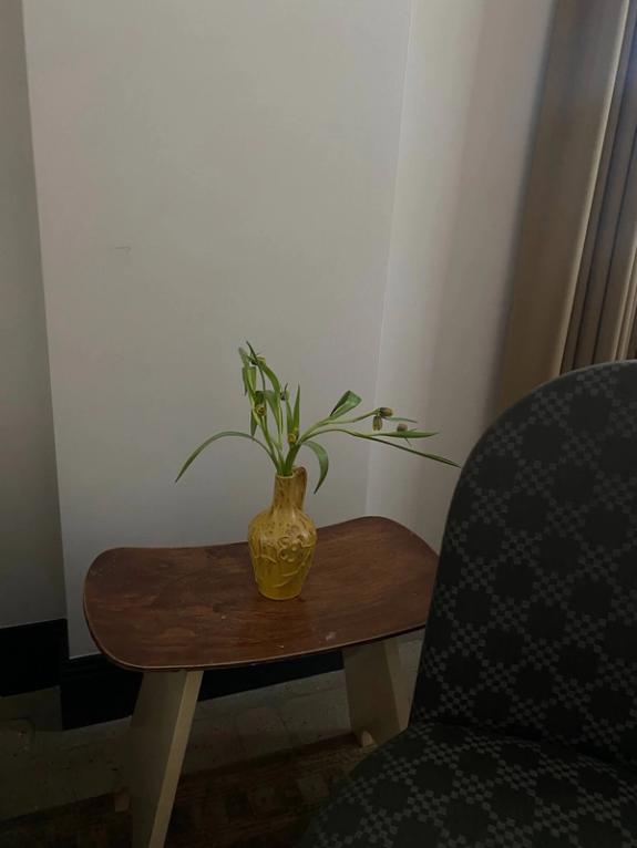 Fox Fodder Flowers image grid container slide 27