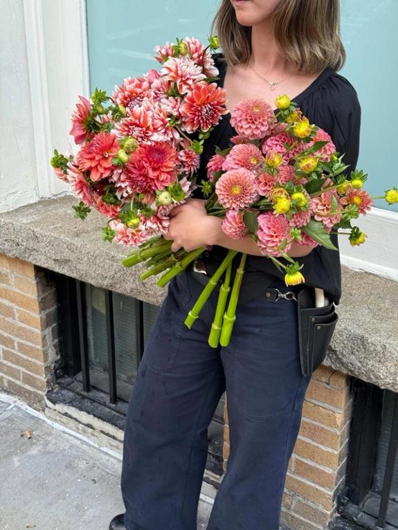 Thumbnail Image of Rock Run Ashley & A La Mode Dahlias