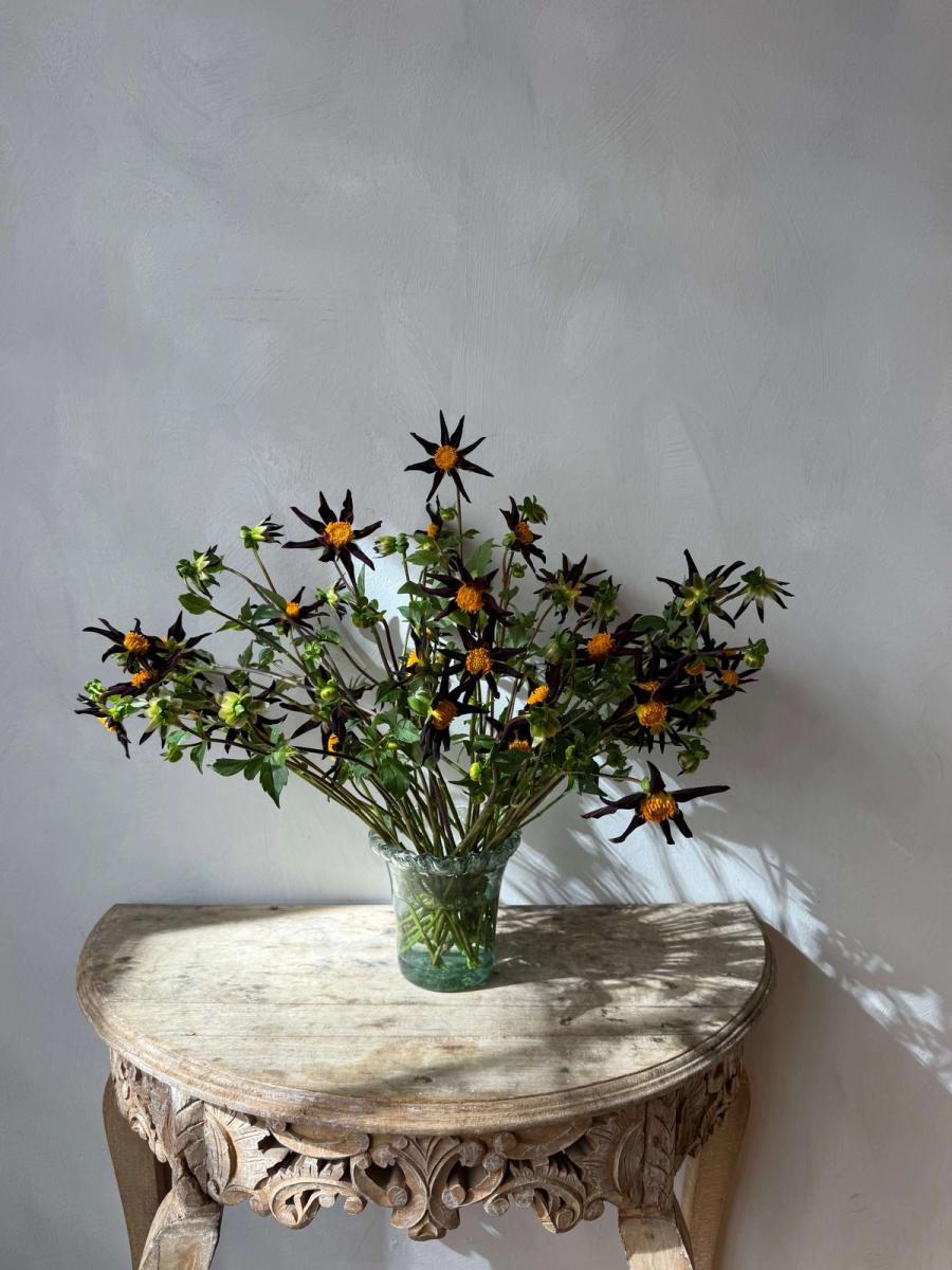 Product image in gallery for Verrones Obsidian Dahlias | Item 1