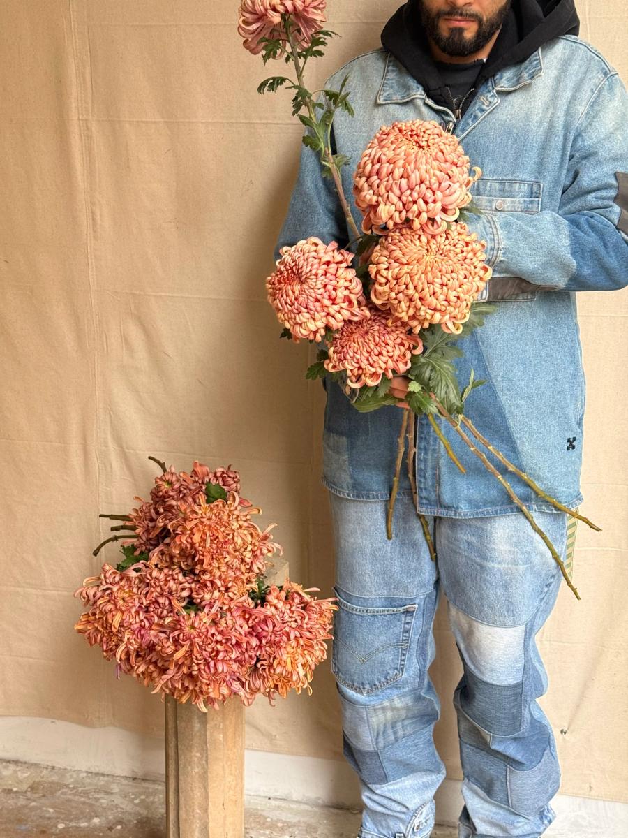 Product image in gallery for River City Big & Small Chrysanthemum | Item 1