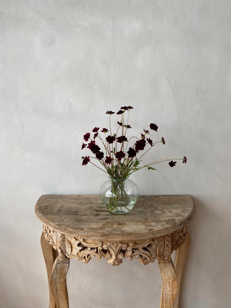 Product image in gallery for Chocolate Cosmos | Item 1