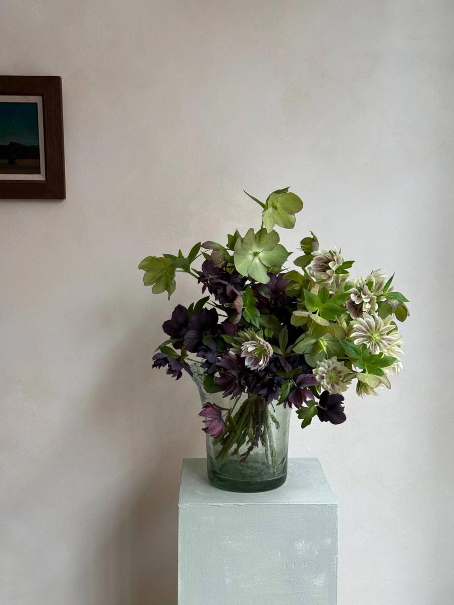 Product image in gallery for Hellebore Mix | Item 2