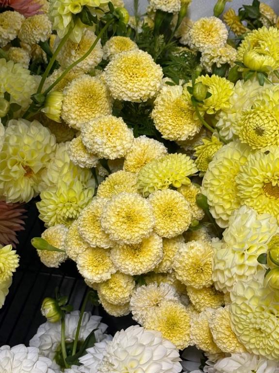 Fox Fodder Flowers image grid container slide 85