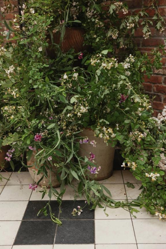 Fox Fodder Flowers image grid container slide 153