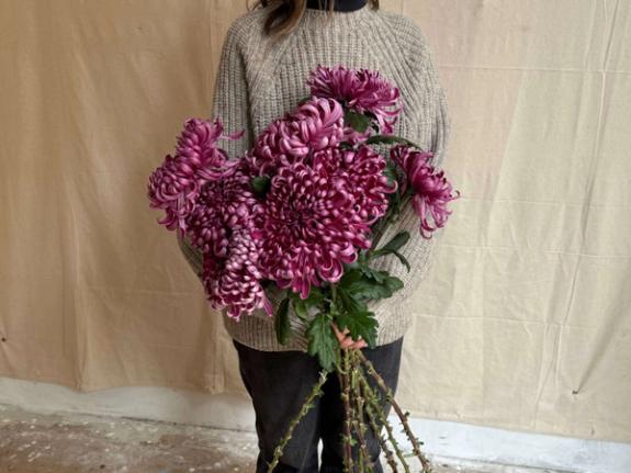 Hover Image of Hagonomo Heirloom Chrysanthemums