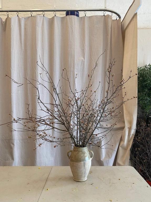 Fox Fodder Flowers image grid container slide 7