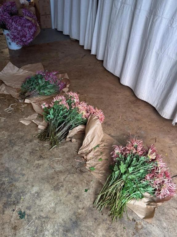 Fox Fodder Flowers image grid container slide 32