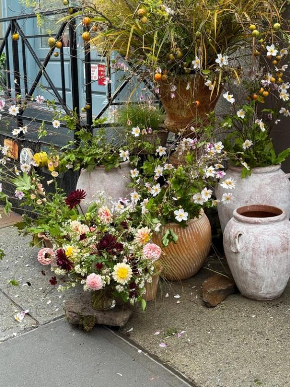 Fox Fodder Flowers image grid container slide 48