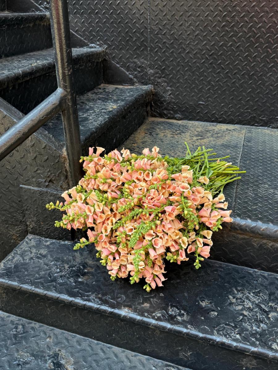 Product image in gallery for Foxglove | Item 1