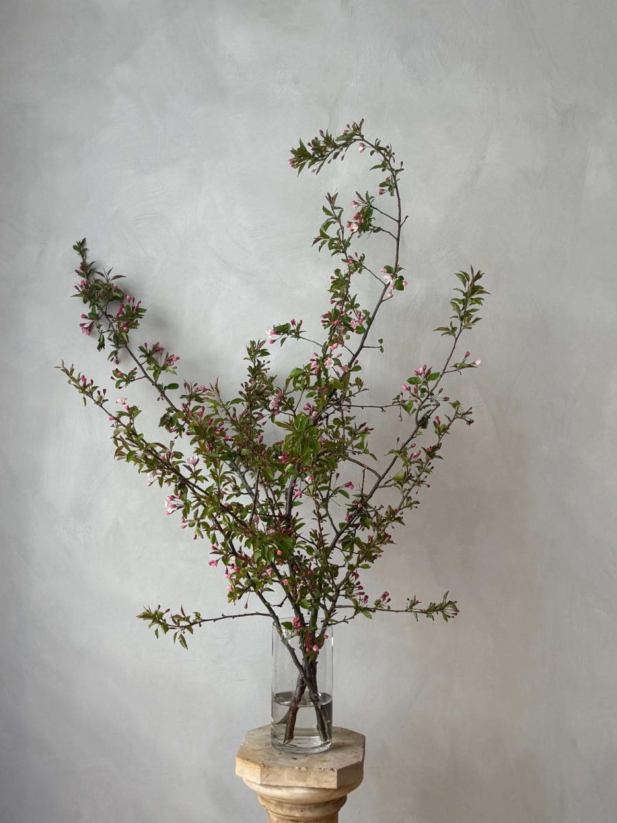 Product image in gallery for undefined | Item 1
