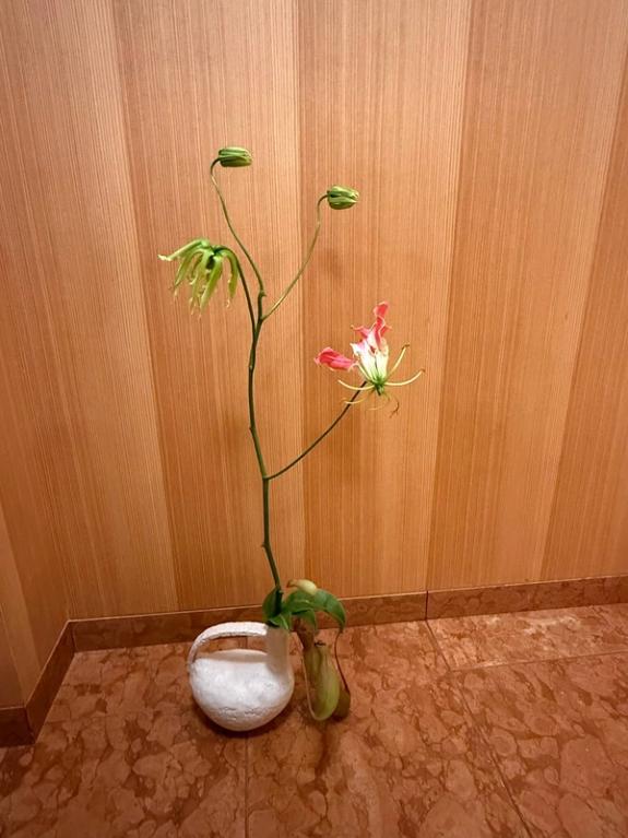 Fox Fodder Flowers image grid container slide 36