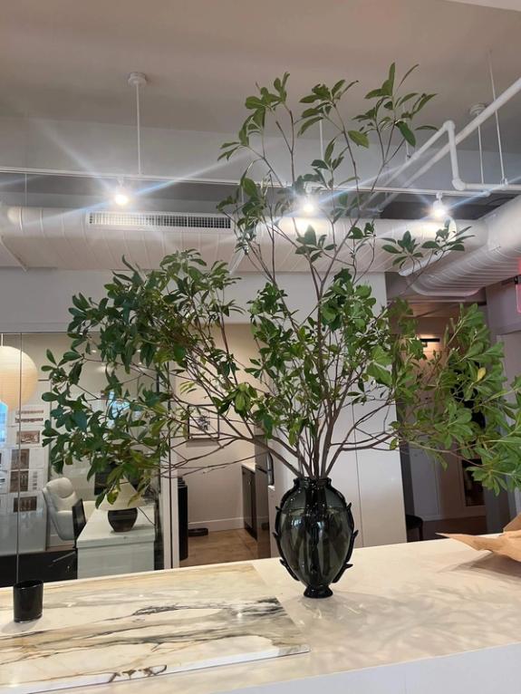 Fox Fodder Flowers image grid container slide 74