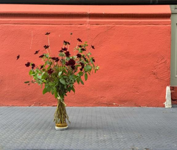 Fox Fodder Flowers image grid container slide 7