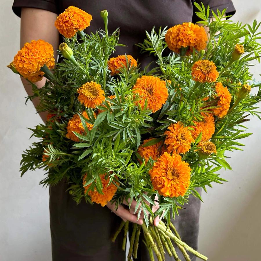 Product image in gallery for Coco Gold Marigold bunch | Item 1