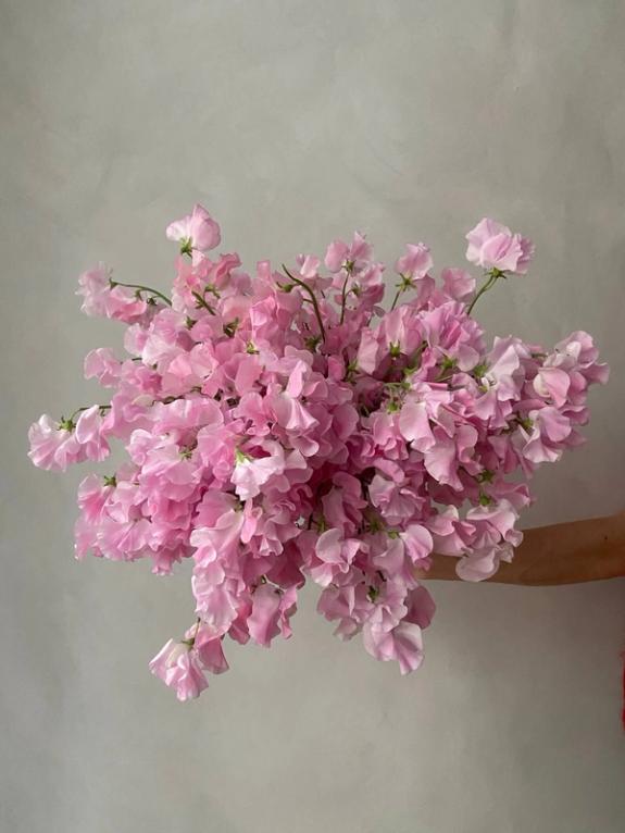 Fox Fodder Flowers image grid container slide 51