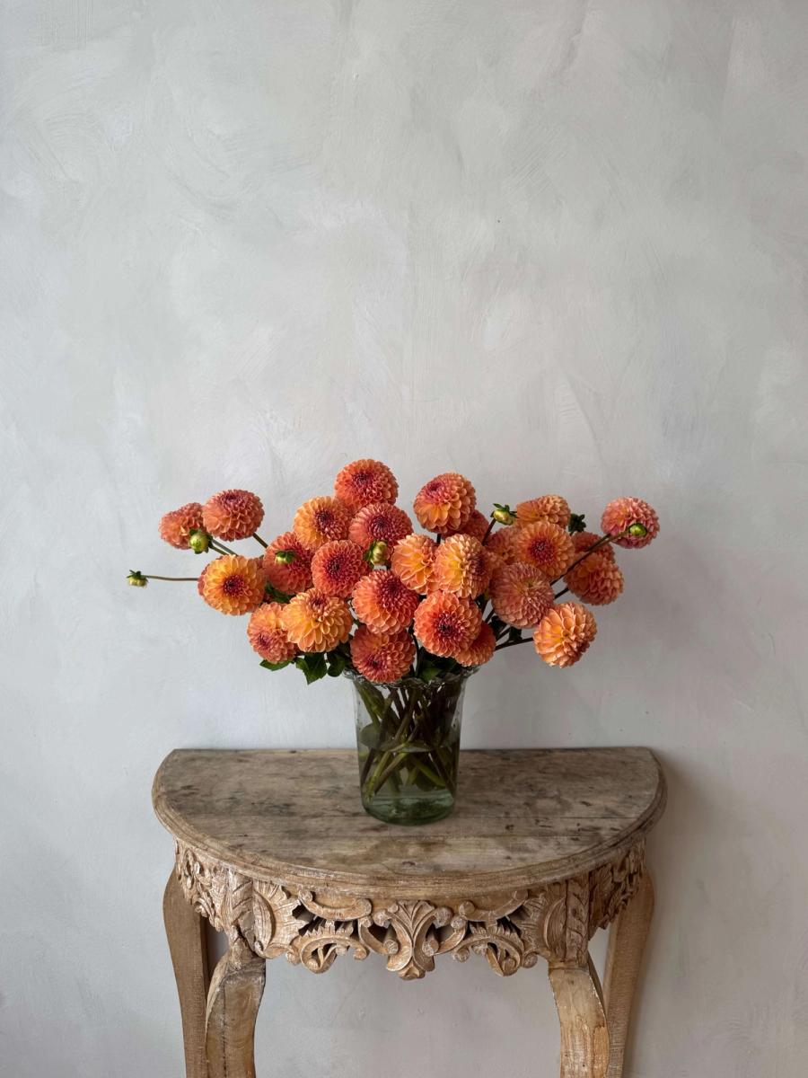 Product image in gallery for Valley Tawny Dahlias | Item 1