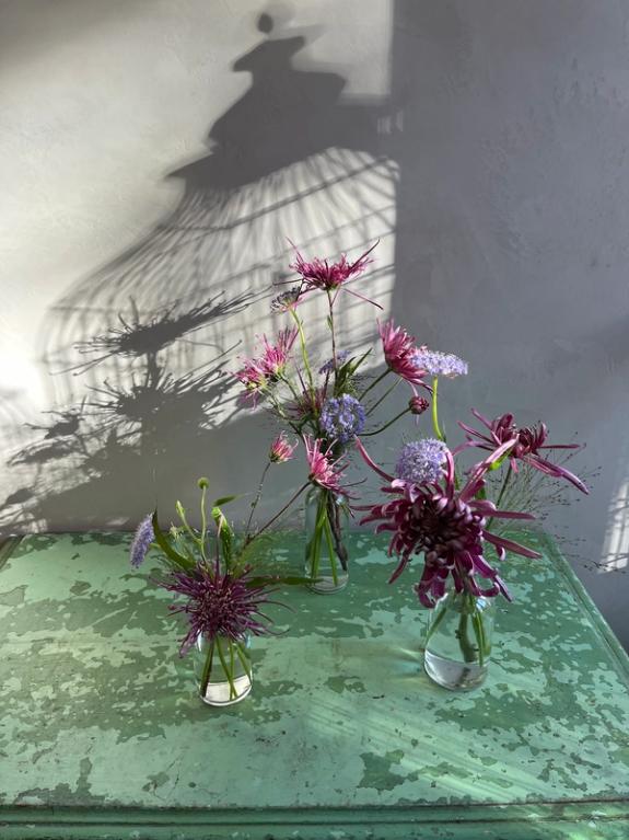 Hover Image of Bud Vase Trio