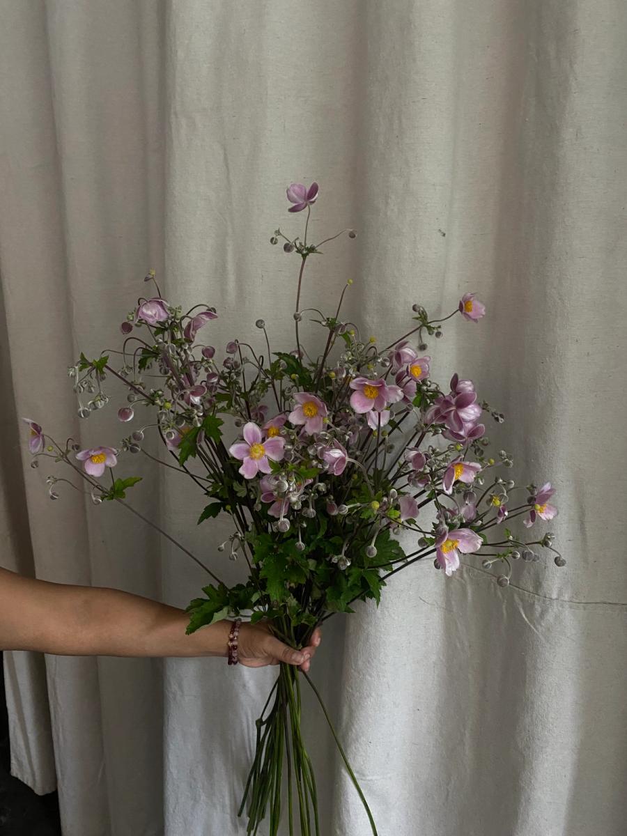 Product image in gallery for 'September Charm' Japanese Anemone Bunch | Item 1