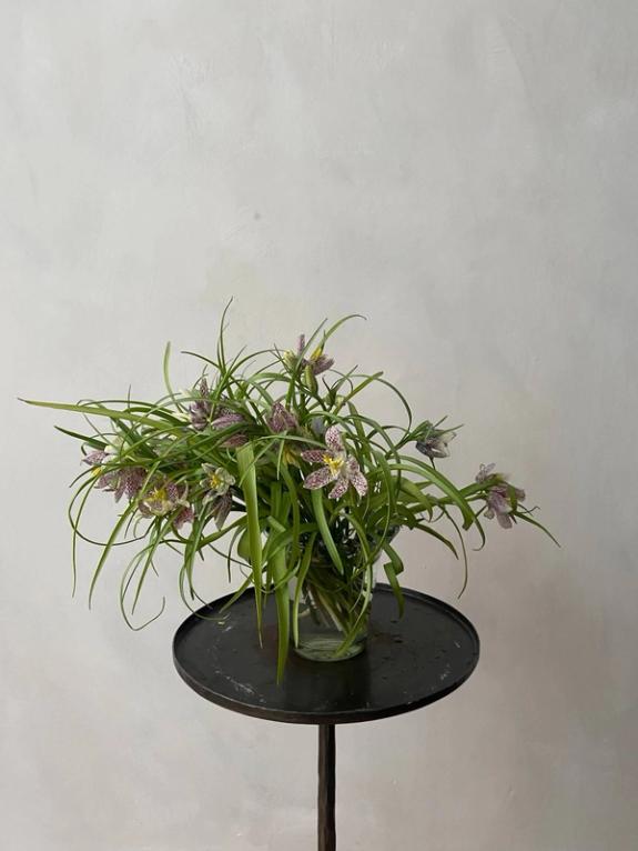 Fox Fodder Flowers image grid container slide 53