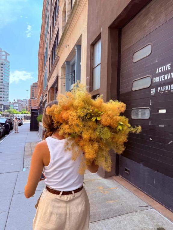 Hover Image of Champagne Smoke Bush