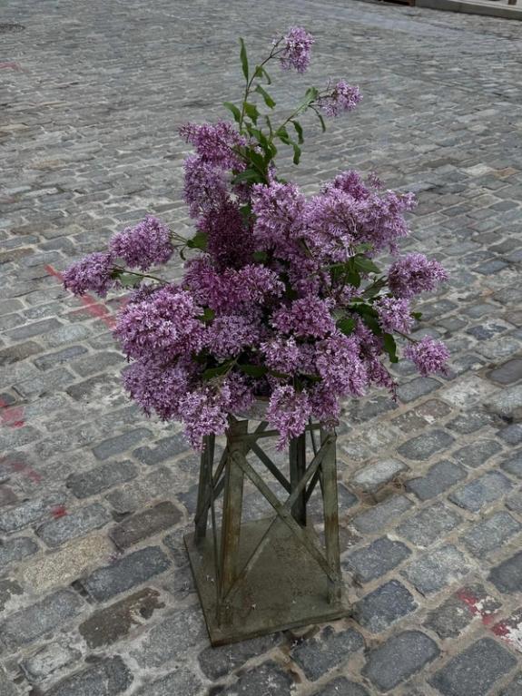 Fox Fodder Flowers image grid container slide 195