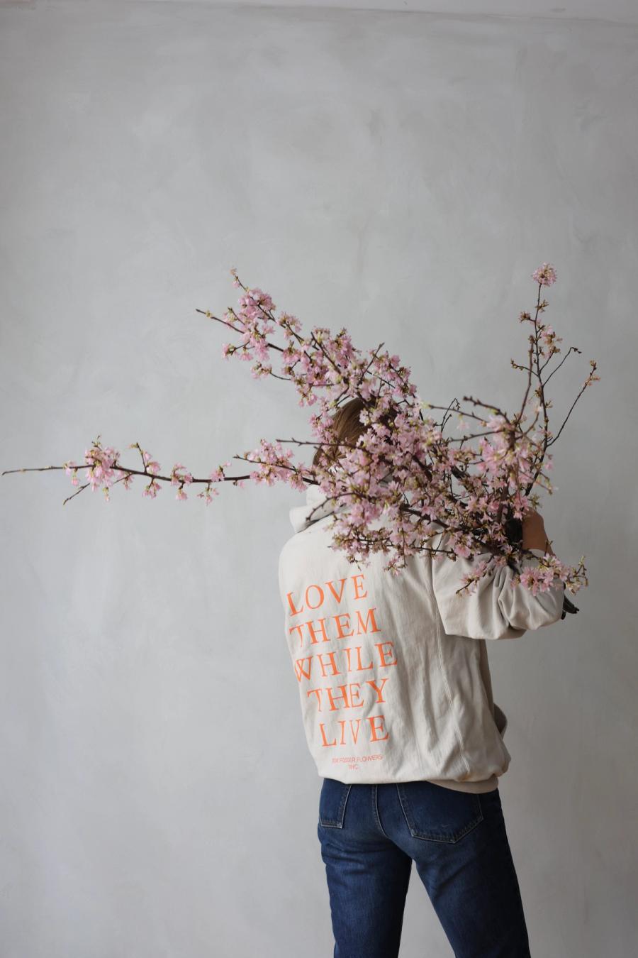 Product image in gallery for Okame Cherry Branches | Item 1